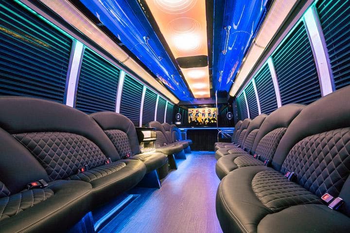 PARTY BUS (28 PASSENGER) — photo 1